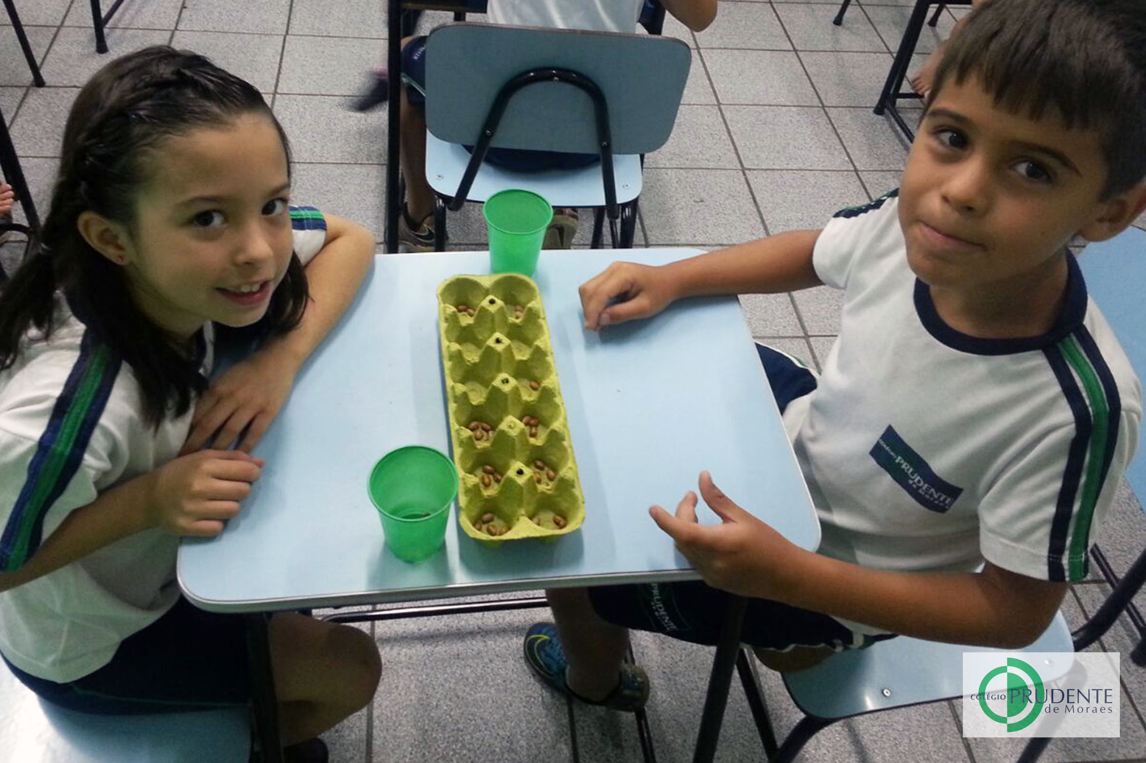 Mancala Jogando 